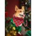 Buy Lionheart Glory Christmas Dog Neckerchief - Soft Cotton Adjustable Bib for Large Dogs - Packable Checkered Design - Buy Online on SooperMarket.com
