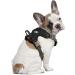 Littlearth NFL Philadelphia Eagles Front Clip Pet Harness - Team Color (Large) - Buy Online on SooperMarket.com