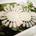 Honbay 20PCS Plastic False Nail Swatches Wheels - Manicure Color Display Wheel - Buy Online on SooperMarket.com