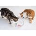 Interactive Swimming Robot Fish Toy for Cat with LED Light (4 pcs) BlackHole Litter Mat Cat & Dog Toy to Stimulate Your Cat's Hunter Instincts - Buy Online on SooperMarket.com