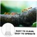 Yardwe Ant Water Dispenser - Ideal for Ant Nests & Feeding | 6.00x3.70x3.70cm | International Shipping - Buy Online on SooperMarket.com