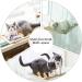CLKHOWL Large Cat Window Perch Hammock Seat - Safety Resting Bed for Indoor Cats | Heavy-Duty Suction Cups, Breathable Mesh, Washable, Durable Frame - Buy Online on SooperMarket.com