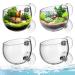 Delamiya 4 pieces aquarium aquatic plant pot aquarium decoration crystal glass with 8 suction cups glass cup plantholder cup pot plant for aquarium plants