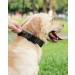 Joyal Tactical Dog Collar | Medium-Sized Dog Collar with Handle & QR Code | Army Green - Buy Online on SooperMarket.com