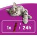 Buy Whiskas Sticks Cat Snacks - Chicken Flavor 84 Sticks | Rich in Vitamins & Minerals - Irresistible Taste for Your Cat - Buy Online on SooperMarket.com