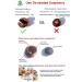 3lb Organic De-seeded Soap Berries/Soap Nuts + 2 Wash Bags - Eco-Friendly Laundry Solution - Buy Online on SooperMarket.com