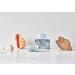Claus Porto Oz Brise Marine Soap 5.3 oz - Luxurious Handcrafted Portuguese Soap - Buy Online on SooperMarket.com