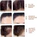 2Pcs Root Touch Up Powder Windproof & Sweatproof Hairline Powder for Women & Wen Natural Stain-Proof Hair Loss Concealer Hairline Powder for Thinning Hairline Coffee & Light Coffee Coffee Light Coffee - Buy Online on SooperMarket.com