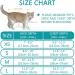 Premium Cat Dishes with Leash | Reflective Cat Patrol Gear for Safe Adventures - Buy Online on SooperMarket.com