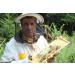 Pure Wild Raspberry Honey - 500g | Raw & Natural | Ethically Harvested | Boosts Vitality and Immunity | Sustainable Packaging - Buy Online on SooperMarket.com