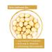 Buy Jalall D'or Macadamia Nuts - Raw Whole Unroasted Fair Trade from Kenya - 3x1 kg Pack - Buy Online on SooperMarket.com