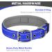 Buy Joytale Royal Blue Dog Collar - Softly Padded Neoprene for Medium Dogs | Nylon Reflective Wide Design - 1 Pack - Buy Online on SooperMarket.com