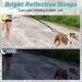 rabbitgoo Bungee Dog Leads for Medium Large Dogs Anti Pull Tactical Lead Rope with 2 Padded Traffic Control Handles for Military Dog Training and Walking Quick Lock Release Black 95-125cm 95-125 cm (Pack of 1) Black - Buy Online on SooperMarket.com