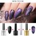 MIZHSE 2-IN-1 Holographic 9D Cat Eye Gel Nail Polish Holo Cat Eye Gel Polish Laser Nail Polish Gel Galaxy Chameleon Magnetic Gel Soak Off UV Gel with Magnet Stick and Black Gel Nail Art - Buy Online on SooperMarket.com