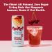 FHIRST Living Soda - Cherry Vanilla | Probiotic/Prebiotic Soda for Gut Health | Natural Zero Sugar or Sweetener | Drink for Gut Health | 12 x 330ml pack - Buy Online on SooperMarket.com