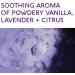Nature's Beauty Lavender Chamomile Sleep Bath Bomb Gift Set - 2-Pack, 10 Count ea | Relax + Sleep Well with Coconut Oil + Witch Hazel Scented Bombs - Buy Online on SooperMarket.com