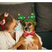 Lionheart Glory Christmas Dog Hallband | Adjustable Red Soft Loop Neck Strap for Large Dogs | Perfect Holiday Collar for Girls - Buy Online on SooperMarket.com