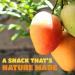 Dried Mango Slices - Soft, Juicy, Low Sugar, Gluten-Free, Natural Source of Vitamin C & Fiber (8 oz. x 6 Pack) - Buy Online on SooperMarket.com