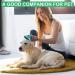 Self Cleaning Slicker Brush for Pets - Remove Loose Hair, Fur, Mats, and Tangled Hair - Ideal for Dogs, Cats, and Rabbits - Aqua Green - Buy Online on SooperMarket.com