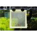 XMHF White Nylon Mesh Fish Fry Hatchery Breeder Box - Separation Net - Buy Online on SooperMarket.com