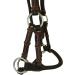 Thor Equine Dark Brown Sidepull with Round Noseband - Premium Cob Size for International Shipping - Buy Online on SooperMarket.com