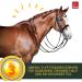 Buy Emma Linseed Oil for Horses & Pets - Cold-Pressed Omega 3 & 6 Fatty Acids for Shiny Fur & Digestion | 2x1L - Ideal for Dogs & Cats - Buy Online on SooperMarket.com