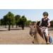 Kids Horse Riding Gloves - Pink, Age 10-12 Years | Equestrian Children's Mittens for Horseback Riding, Biking, Gardening | Boys & Girls Pony Youth Outdoor Gear - Buy Online on SooperMarket.com