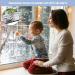 2 Pcs Stainless Steel Window Locks Safety Window Restrictors for Upvc Prevent Your Child or Pet from Falling by The Window Suitable for Home Kindergarten School Hospital Office - Buy Online on SooperMarket.com