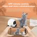 obexx Smart Pet Camera  Smart Companion Robot for Pets  Dog Treat Dispenser  Movable 1080P Full HD WiFi pet Camera Night Vision  2way Video via Smart Phone App (2.4G WiFi ONLY) White - Buy Online on SooperMarket.com