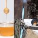 Tubes Maple Syrup Supplies 27.5 * 25 * 5cm Maple Syrup Tree Tapping Kit Maple Syrup Taps Food Grade Non-slip Tapping Kit L-shaped Tree Taps for Syrup Supplies - Buy Online on SooperMarket.com