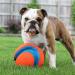 Chuckit! Large Regular Glow Ball - Bright and Durable Fetch Toy - Buy Online on SooperMarket.com