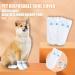 Disposable Dog Socks 20 Pcs Adjustable Disposable Dog Shoes Boots Dirt-Proof Pet Socks Dog Paw Protectors Foot Cover with Self Adhesive Bandage for Outdoor Indoor Walking (Small) - Buy Online on SooperMarket.com