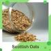 Confectious Gluten-Free Rolled Scottish Oats 100% Natural No additives or Preservatives for Porridge & Cooking 1kg - Buy Online on SooperMarket.com