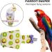 EsEico Reusable Parrots Nappy Pure Cotton Bird Washable Diapers Soft Parrot Nappy Multicoloured Printed Design Adjustable Cotton Fabric Pee Pads for Medium Parrots Cockatiels and Lovebirds. Kiwi - Buy Online on SooperMarket.com