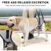 Buy Hamon Portable Dog Harness for Hind Legs | Ideal Lifting Aid for Older Sick or Post-Operative Dogs (M) - International Shipping Available - Buy Online on SooperMarket.com