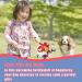 Hetoo Interactive Dog Toys | Durable Football with Gripping Bottles | Perfect for Small & Medium Breeds | Water Toys for Indoor & Outdoor Play - Large Size 3 Angry-Chick - Buy Online on SooperMarket.com