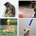 QUOZUO 31 pcs Cat Toys Variety Pack for Kitty 2 Way Tunnel Cat Feather Teaser Cat mouse Toy Cat Crinkle Balls Cat Balls with Bell Catnip Toys for Indoor Cats Kittens Toys - Buy Online on SooperMarket.com