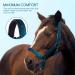 Nobleza Green Knotted Halter for Horses | Padded Nose & Neck | Perfect for Riding Training - International Shipping Available - Buy Online on SooperMarket.com