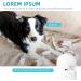PAPIFEED 1080P Pet Camera Indoor Security Cam | 5Ghz WiFi | Two-Way Audio | Night Vision | Motion Detection | Alexa & Google Assistant Compatible - Buy Online on SooperMarket.com