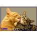 FELIWAY Friends Diffuser Refill 3-Pack (FELIWAY MultiCat) - Use with FELIWAY Cat Diffusers - Helps Reduce Fighting Tension and Conflicts Between Cats in The Home (90 Day Supply FELIWAY Refill D894) - Buy Online on SooperMarket.com