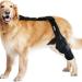 JISADER Pet Knee Support Brace for Enhanced Comfort and Mobility M 18.5 to 29.4cm - Buy Online on SooperMarket.com
