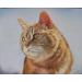 Clairefontaine PastelMat Paper Pack 5 Sheets - 24x32 cm Dark Grey - Buy Online on SooperMarket.com