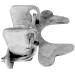 Kennel Gate Latch for Dog Kennels and Kennel Panels - 1-3/8" Kennel Gate Frame & 1-3/8" Dog Kennel Panel Frame