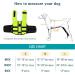 NAMSAN Small Dog Life Jacket | Inflatable Vest with Reflective Stripe & Safety Handle | Adjustable Buoyancy Aid | Puppy Flotation Jacket in Green-S - Buy Online on SooperMarket.com