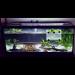 Large Fish Breeder Net with Suction Cups - Nylon Mesh Hatchery Isolation Box for Aquarium Tank - Buy Online on SooperMarket.com
