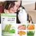 Shenrongtong Cat Grass Sticks - Dental Care & Hair Removal Snacks for Cats (2-Pack) - Buy Online on SooperMarket.com