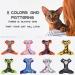 Supet Cat Dishes & Line Set - Perfect Feeding Solution for Kittens | International Shipping Available - Buy Online on SooperMarket.com