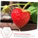 POPETPOP 10 Pcs Fruit Shaping Fruit Plastic Fruit Watermelon White Gardening Supplies 4.5x4cmx2pcs Whitex2pcs - Buy Online on SooperMarket.com