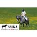 AMKA Hackamore Bitless Leather Bridle - 3-Way Adjustable with Baroque Straps for Optimal Comfort - International Shipping Available - Buy Online on SooperMarket.com