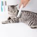 4-Piece Lice & Flea Comb Set for Cats & Dogs - Durable Multifunctional Pet Grooming Tool for Removing Lice Fleas and Ticks - Buy Online on SooperMarket.com